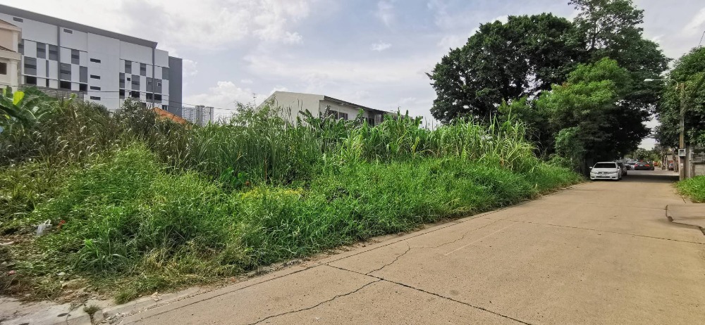 For SaleLandNonthaburi, Bang Yai, Bangbuathong : Golden opportunity! Beautiful plot of empty land, Soi Phaendinthong 45, near MRT Bang Kraso.