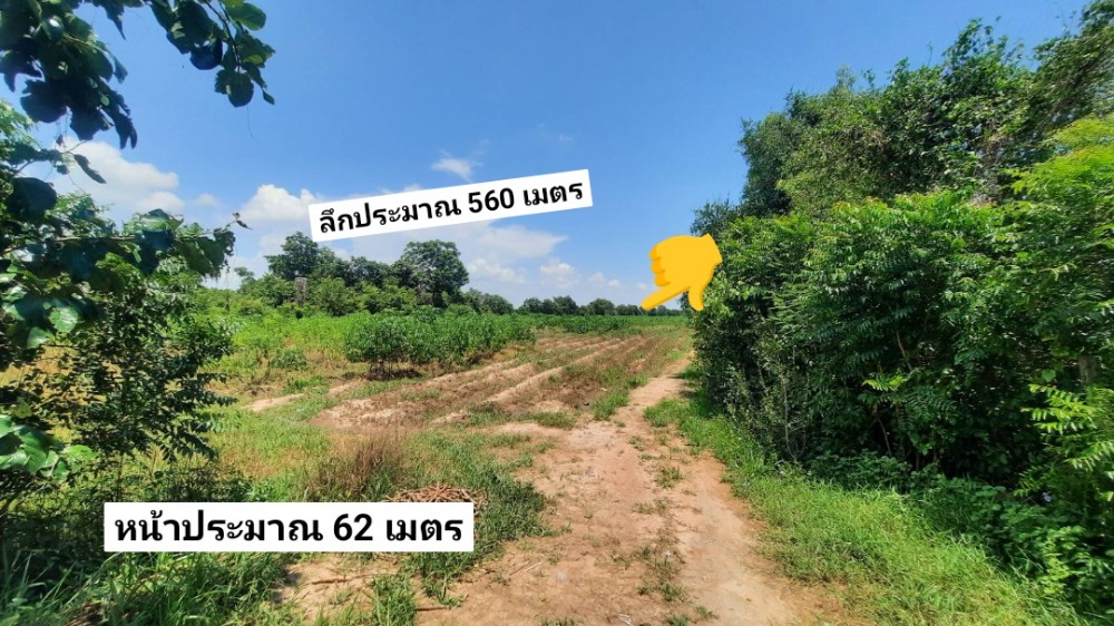 For SaleLandChai Nat : Land for sale 15-25% cheaper than the market price. This plot of land is next to the road on both sides, along with the Subdistrict Administrative Organization's drainage channel.