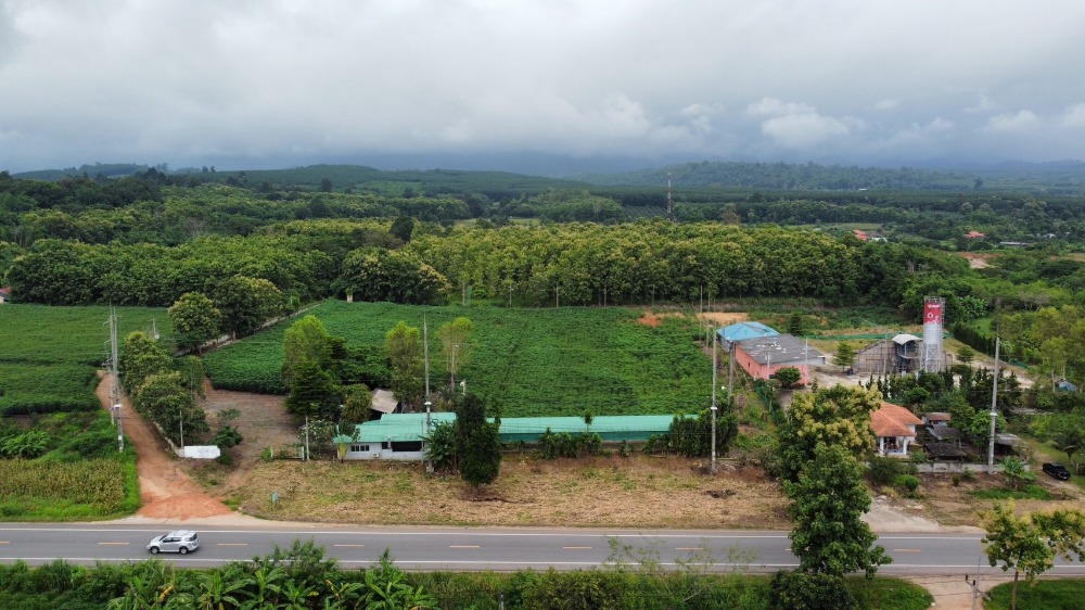 For SaleLandChiang Rai : Land for sale next to Asia Road 118, Chiang Mai, Chiang Rai, San Sali Subdistrict, Wiang Pa Pao District, Chiang Rai, land next to the road on 2 sides.