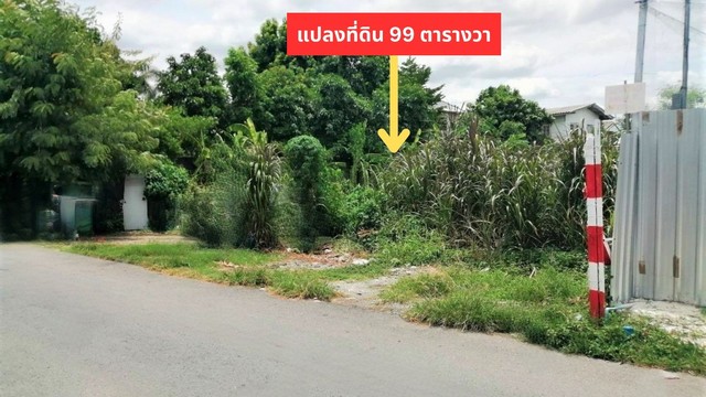 ขายที่ดินวิภาวดี ดอนเมือง หลักสี่ : ขายที่ดิน 99 ตรว. ติดถนนสาธารณะ คอนกรีต เข้าซอย วัดเวฬุวนาราม 9 แค่ 100 เมตร เป็นชุมชนเจริญมาก น้ำ ไฟฟ้า พร้อม ใกล้ตลาด เซเว่น แนวรถไฟฟ้าสายสีแดง ดอนเมือง กรุงเทพฯ