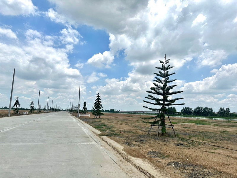 ขายที่ดินปทุมธานี รังสิต ธรรมศาสตร์ : For Sale Pathum Thani Land Lam Luk Ka BRE20106