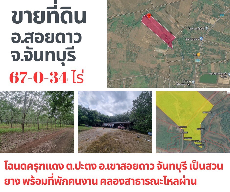 For SaleLandChanthaburi : Land for sale 67-0-34 rai, very cheap!! Rubber plantation, Patong Subdistrict, Khao Soi Dao District, Chanthaburi