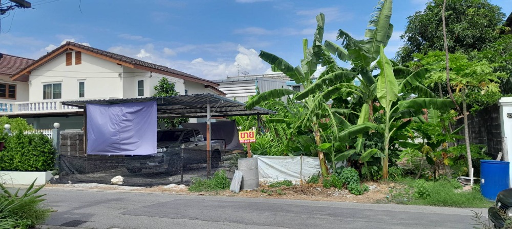 ขายที่ดินบางแค เพชรเกษม : ขายที่ดิน ติดซอยวัดบุญยประดิษฐ์ พุทธมณฑลสาย 2 ซอย 7 แยก 3 เนื้อที่ดิน 72 ตารางวา