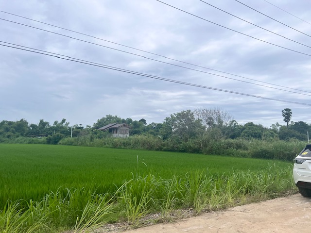 For SaleLandUthai Thani : Empty land of over 9 rai next to the Sakae Krang River, Mueang District, Uthai Thani Province, beautiful area next to the river, width 112 meters.