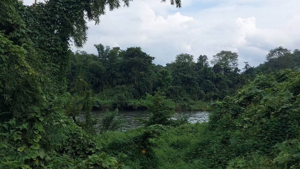 For SaleLandKanchanaburi : Urgent sale, beautiful land next to the Kwai Noi River, Thong Pha Phum District, Kanchanaburi Province.