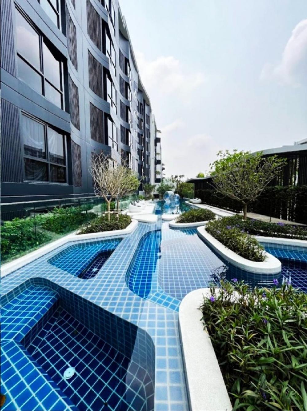 For RentCondoBangna, Bearing, Lasalle : 🔥Urgent for rent 🔥 Blue Condo Sukhumvit 105, swimming pool view The common garden runs parallel to the building. The room is on the 3rd floor, at the entrance of the alley near BTS Bearing and at the end of the alley near MRT Sri Lasalle.