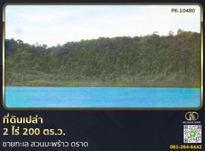 ขายที่ดินตราด : 📢ที่ดินเปล่า 2 ไร่ 200 ตร.ว. ชายทะเล สวนมะพร้าว ตราด