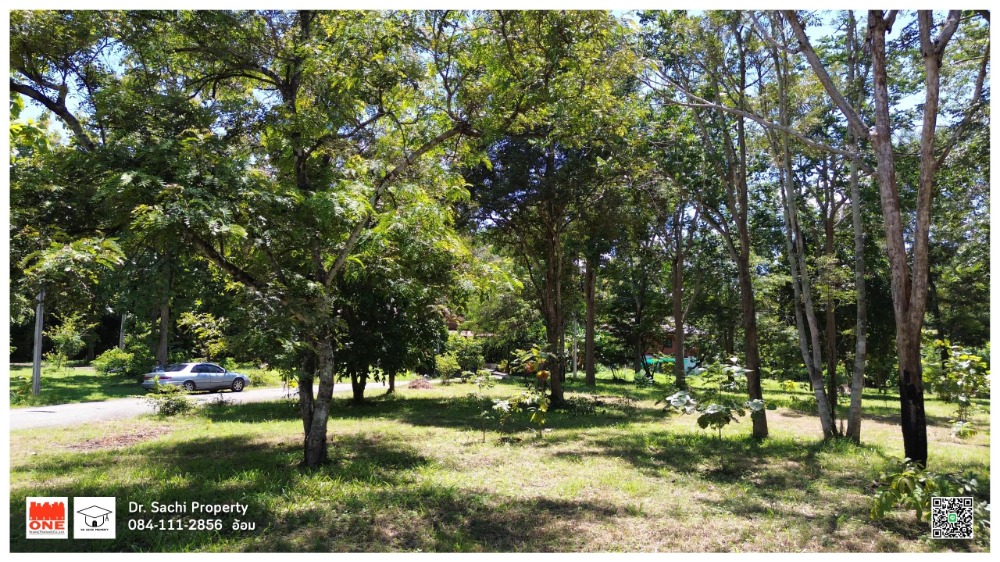 For SaleLandLamphun : Beautiful plot of land for sale Near Lamphun Provincial Government Center (new), 344 sq m, good atmosphere, vacation home style.