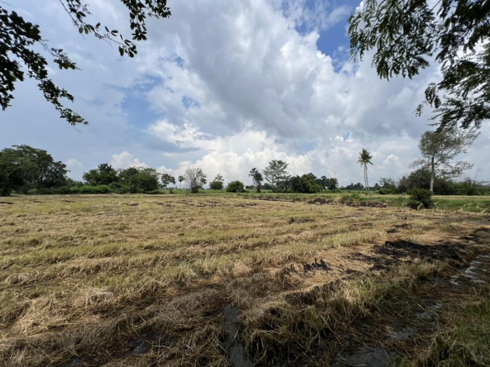 For SaleLandNakhon Sawan : Land for sale in Nakhon Sawan, 30 rai, suitable for a factory or agriculture, near a water source.