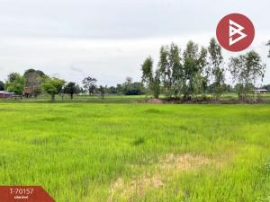 For SaleLandMaha Sarakham : Urgent sale of rice field land, area 15 rai, Wapi Pathum, Maha Sarakham.