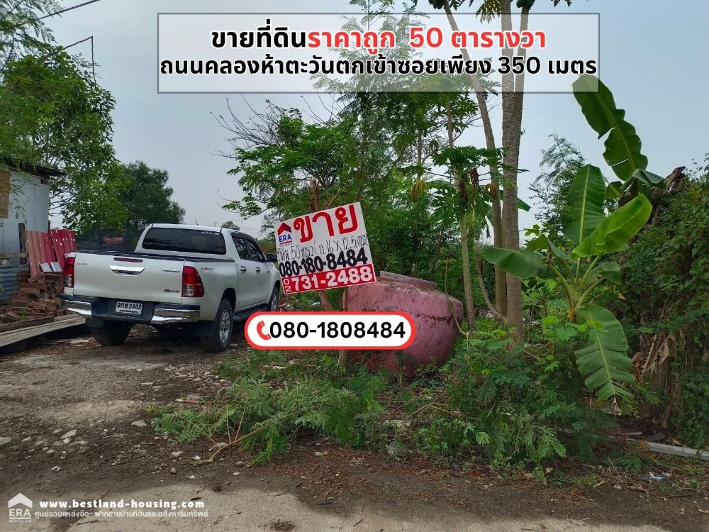 ขายที่ดินปทุมธานี รังสิต ธรรมศาสตร์ : ขายถูกที่ดิน 50 ตารางวา คลองหลวง ใกล้กับวัดพระธรรมกาย