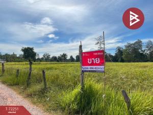 For SaleLandKhon Kaen : Land for sale, area 15 rai 1 ngan 53 square wah, Nong Song Hong, Khon Kaen