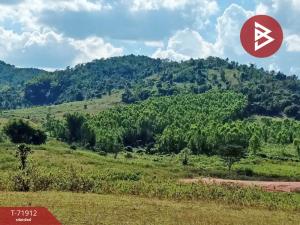 For SaleLandPhetchabun : Empty land for sale, area 26 rai 9 square wah, Khao Kho, Phetchabun.