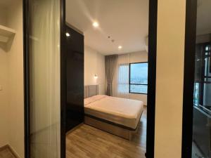 For RentCondoBangna, Bearing, Lasalle : ★ Niche mono Sukhumvit-bearing ★ 29 sq m., 12th floor (1 bedroom, 1 bathroom), ★ near BTS Bearing ★ near Iam Charoen Market, Imperial Samrong and Big C and Central Bangna ★ Many amenities ★ Complete electrical appliance