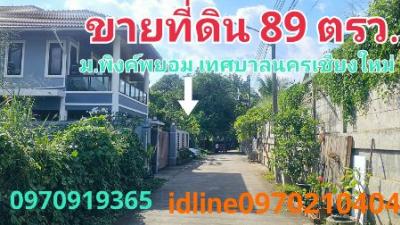 ขายที่ดินเชียงใหม่ : ขาย ที่ดิน หมู่บ้านพิงค์พยอม 89 ตร.วา วิวดอยสุเทพ เทศบาลนครเชียงใหม่