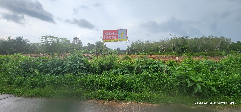 For SaleLandTrang : Land for sale in Trang, 22 rai, 1 ngan, 68 sq m, with title deed, empty land in Trang.