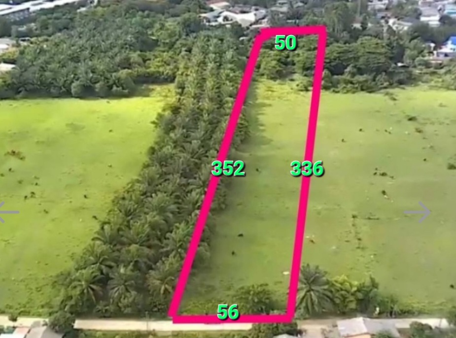 For SaleLandTrang : Land for sale in Trang, 9 rai, 2 ngan, 33 sq m. Land for sale in Kuan Pring.