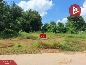 For SaleLandLamphun : Land for sale, area 2 ngan 4 square wah, Pa Sak, Lamphun.