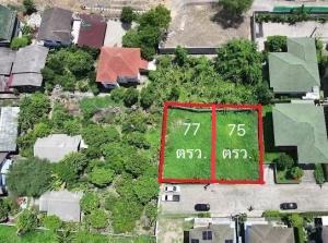 For SaleLandRama5, Ratchapruek, Bangkruai : Empty land for sale, suitable for building a residential house, Kritsana Village Project, Rama 5 - Kanchanaphisek, area 77 sq m., corner plot, quiet location, special price!!!