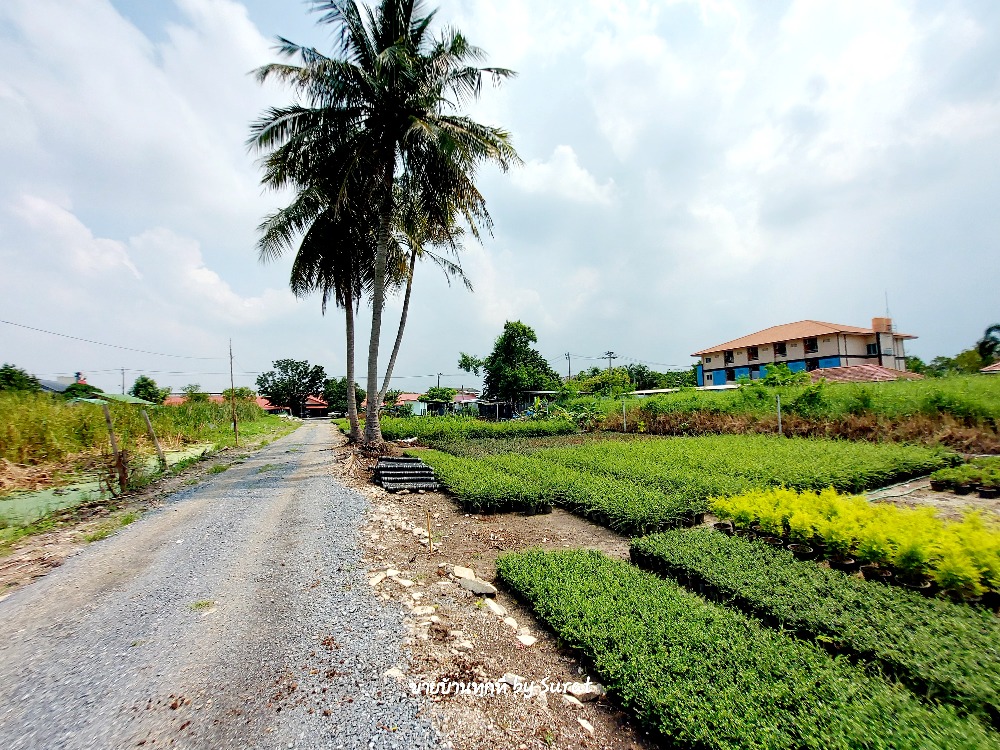 For SaleLandRama5, Ratchapruek, Bangkruai : Land for sale, 3 rai 68 sq m, behind Lotus Bang Yai, Kanchanaphisek Road, Bang Kruai