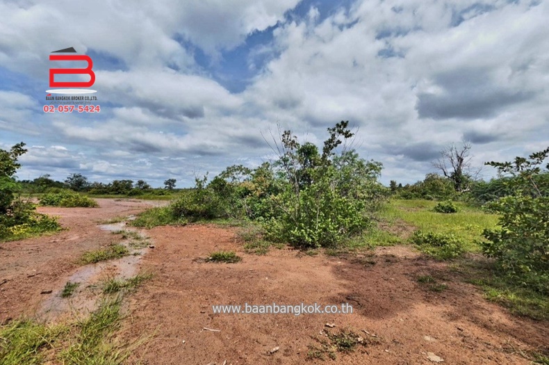 For SaleLandKorat Nakhon Ratchasima : Empty land, Kampang-Non Thai, area 43-0-50 rai, Tathaluang Road No. 2, Non Thai District, Nakhon Ratchasima Province.