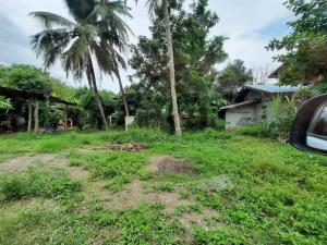 For SaleLandPhetchabun : (Call 095 0103788) Phetchabun land 125 square wah, good location, community area, suitable for building a house, Nai Muang Subdistrict, Mueang District, Phetchabun Province