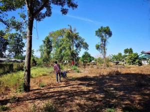 For SaleLandPhetchabun : (Call 095 0103788, owner sells it himself) Title deed land for sale, good atmosphere, waterfront, suitable for building a house on the waterfront, community area, half an hour to Khao Kho, area 1 and a half rai, near PTT Nangua. Mueang Phetchabun (Selling