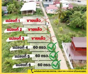 For SaleLandPhetchabun : (Call 095 0103788) Land for sale. Opposite Phetchabun Hospital, Sadiang Subdistrict, Mueang District, Phetchabun Province, each plot is 59 square wah, width 11 meters, close to the new road. Alley next to girls school The way to Ban Rai Nuea, concrete roa