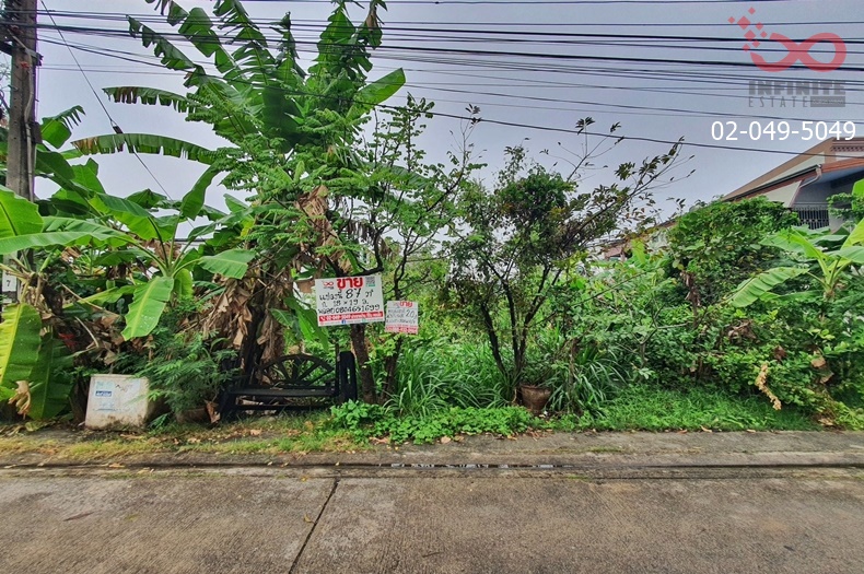 For SaleLandBang kae, Phetkasem : Empty land for sale, 87 square wah, Phetkasem Road, Soi Phetkasem 79