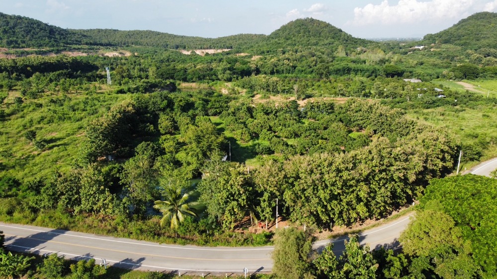 For SaleLandLamphun : Land for sale next to Lat Dam Road, longan orchard, fish pond, house, electricity, Ban Makok, Pa Sang, Lamphun, near Phra Bat Tak Pha, near Pa Sang Hospital.