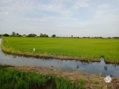 For SaleLandAyutthaya : Land for sale, rice field, near Lak Chap Subdistrict Administrative Organization, Lat Bua Luang, 52 rai 2 ngan 18 sq m.