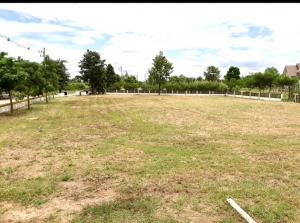 For SaleLandKhon Kaen : ❤️❤️ ➡️♥️ Selling a large and very beautiful plot of land in the Pimanchon Boulevard project. Interested, line/tel 0859114585 ❤️❤️❤️ (Rim Bueng Kaen Nakhon) there are 2 plots, 45,000 baht each ▶️ Area 292.50 T Total area (13,162,500 ฿)▶️ Area 303.90 sq m.