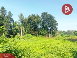 For SaleLandPhichit : Land for sale, area 61.8 square meters, Khlong Kachen, Phichit