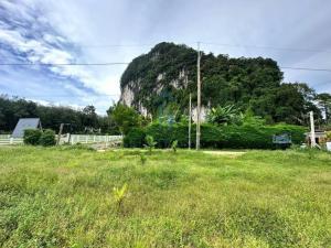 ขายที่ดินกระบี่ : ขายที่ดิน ใกล้หาดอ่าวนาง ต.หนองทะเล อ.เมือง จ.กระบี่