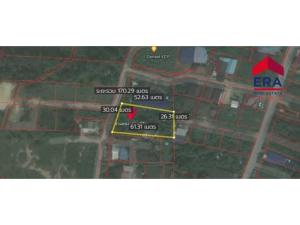 For SaleLandPattaya, Bangsaen, Chonburi : L080405 Empty land for sale, size 1 rai, Bang Lamung, Chonburi, Chonburi