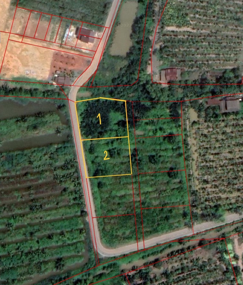 For SaleLandChachoengsao : 2 plots of land for sale, formerly a coconut plantation, Sukprayun Road, Bang Tin Ped Subdistrict. Chachoengsao Province There is a concrete road cutting through it near Bangkok. Total size is 1 rai 3 ngan 62 square wah.