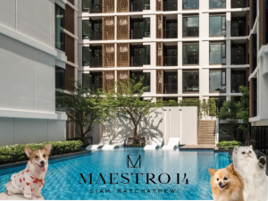 ขายคอนโดราชเทวี พญาไท : Maestro 14 Siam - Ratchathewi, 1 Bed, 29.65 sq.m. | Call/Line: 0856629953