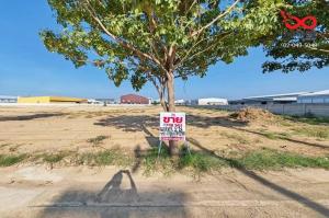 For SaleLandNakhon Pathom : Empty land for sale, 2 rai already filled, Nakhon Pathom, Pathum Thani-Bang Len Road.