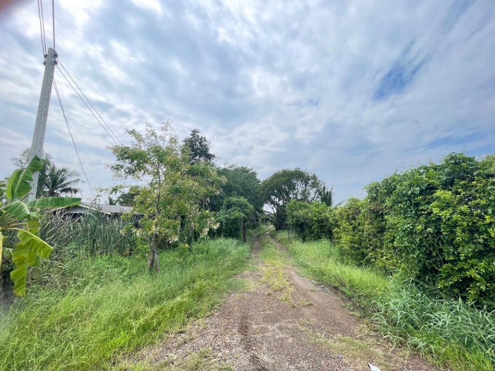 For SaleLandNakhon Nayok : ❤️❤️Land for sale, Bueng San Subdistrict, Ongrak District, Nakhon Nayok Province, has a road cutting through it, size 12 rai 1 ngan 17 sq m. Interested, line/tel 0859114585 ❤️❤️For sale❤️ Price only 9.8 million, near the Kamnan Office, Bueng San Subdistri