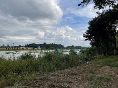 For SaleLandAyutthaya : Empty land for sale next to the Chao Phraya River, Ayutthaya, 6 rai 2 ngan 20 sq m.