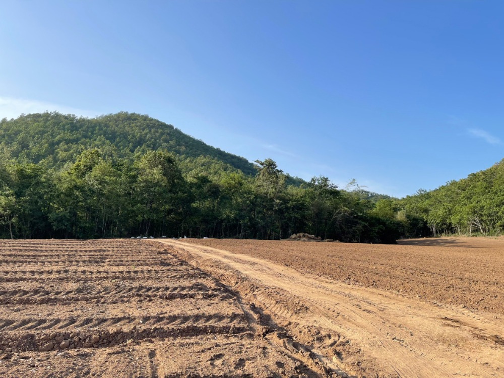 ขายที่ดินลำพูน : 泰國北部待售土地 ขายที่ดิน จ. ลำพูน (น้ำไม่ท่วมค่ะ)  มีภูเขา ติดห้วยน้ำลำธาร ติดถนนคอนกรีต ผืนใหญ่ 300 ไร่ ขึ้นไป ทรงนกบินเหิน