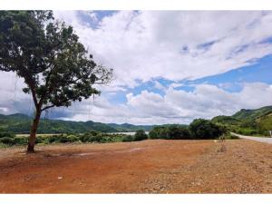 For SaleLandLoei : L080465 Empty land for sale, 1 ngan, 42.70 sq m, investment property, Loei Province.