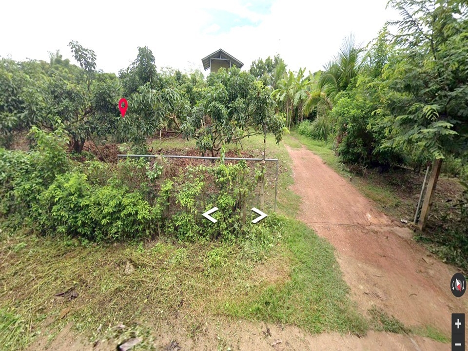 For SaleLandNan : For sale: 2 plots of land next to each other, area 8 rai 1 ngan 54.8 sq m. with single house and longan orchard. Mueang Nan Santisuk Road, Mueang Chang Subdistrict, Phu Phiang District, Nan Province