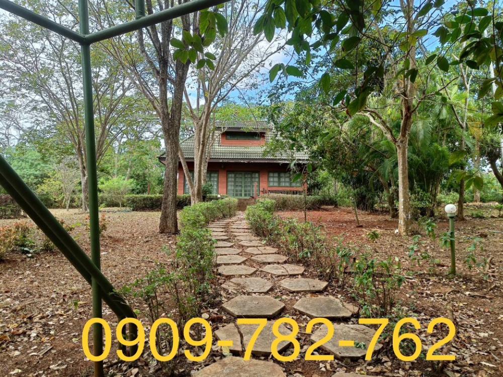 For SaleHousePak Chong KhaoYai : SHOCK!! Very beautiful and shady house for sale in Phutawan Village. Pak Chong Khao Yai, 2 bedrooms, 1 bathroom, 349 sq m, very cheap, on a hill, beautiful view, call 0909-782-762