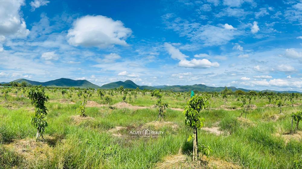 ขายที่ดินลำพูน : ขายที่ดิน 15 ไร่ ตำบลมะเขือแจ้ เมืองลำพูน