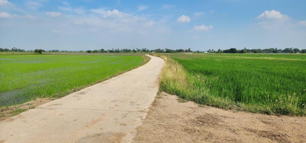 For SaleLandAng Thong : 🌲☘️🌸🌼 Rice field for sale 9 rai 3 ngan 40 square wah, Sam Ko District, Ang Thong Province🌸🌺🌼