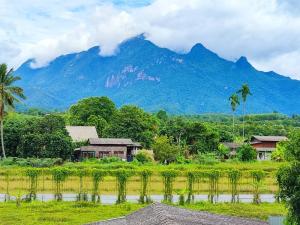 ขายที่ดินเชียงใหม่ : ขายที่ดิน เชียงดาว 7 ไร่ วิวดอยหลวง เชียงดาว ติดถนนโชตนา