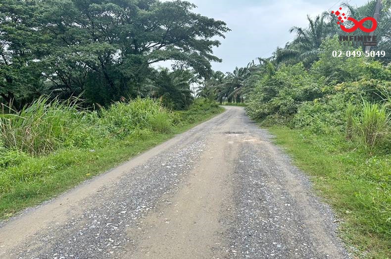 For SaleLandNakhon Si Thammarat : Empty land for sale, 9 rai, Nakhon Si-Songkhla Road, Soi Tha Ruea 39, Nakhon Si Thammarat.