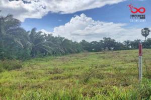 For SaleLandNakhon Si Thammarat : Land for sale, 1 rai, Hua Sai, Nakhon Si Thammarat.