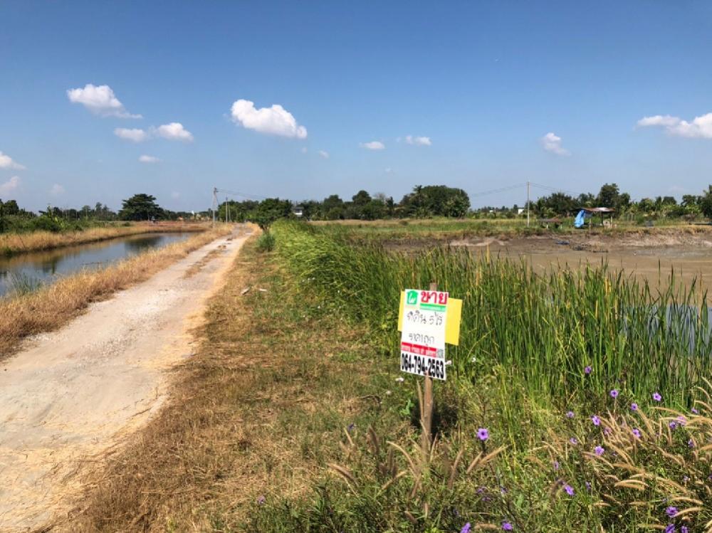 For SaleLandChachoengsao : 🌳 Land near Chachoengsao city, price only 9 hundred thousand baht per rai! 🌳